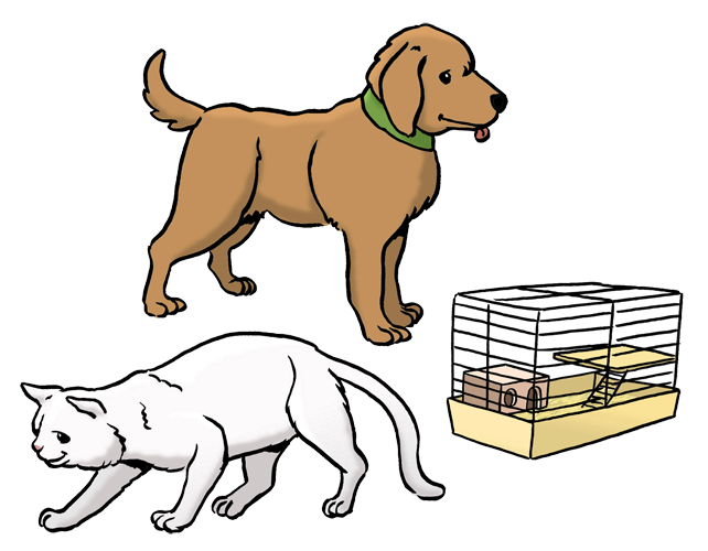 Bild zeigt Haustiere: Hund, Katze, Mehrschweinchen.